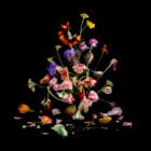 In Perfect Process By London Flower School Print Artist Lisa King For London Design Festival 2019 Yellowtrace 04