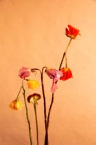 In Perfect Process By London Flower School Print Artist Lisa King For London Design Festival 2019 Yellowtrace 15