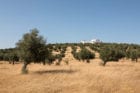 Da Licenca Boutique Hotel Estremoz Portugal Yellowtrace 01