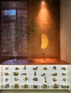 Aqua Health Clinic Beijing China By Waterfrom Design Yellowtrace 27