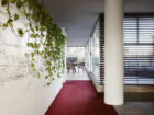 SJB's Sydney Studio Refurbishment in Surry Hills, Photo Anson Smart | Yellowtrace