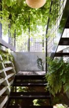 John Ellway, Terrarium House Brisbane, Residential Architecture, Photo Toby Scott | Yellowtrace