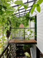 John Ellway, Terrarium House Brisbane, Residential Architecture, Photo Toby Scott | Yellowtrace