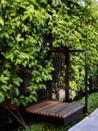 John Ellway, Terrarium House Brisbane, Residential Architecture, Photo Toby Scott | Yellowtrace
