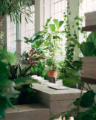 PSLab Office Showroom Interiors London, James Plumb, Photo Rory Gardiner | Yellowtrace