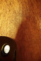 Porky Hefer, The Nest: Off Grid Lodge in Namibia, Wellness Eco Architecture | Yellowtrace