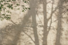 Florim Sensi Of Casa Dolce Casa Fossil Ivory Ceramic Tile Collection Matteo Thun Yellowtrace
