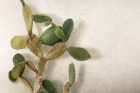 Florim Sensi Of Casa Dolce Casa Lithos White Ceramic Tile Collection Matteo Thun Yellowtrace