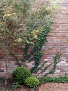 Polly Harbison Design, Arent & Pyke, Garden House Lindfield, Australian Homes, Photo Anson Smart | Yellowtrace