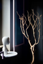 Sceg Architetti Studio Agora Law Office Interior Design Photo Barbara Corsico | Yellowtrace