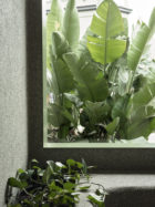 Clare Cousins Architects Aesop Paddington Retail Interiors Photo Anson Smart | Yellowtrace