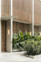 PPAA, Casa Octavia Boutique Hotel Condesa, Mexico Architecture, Maureen Evans | Yellowtrace