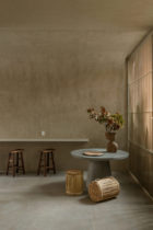 PPAA, Casa Octavia Boutique Hotel Condesa, Mexico Architecture, Photo Luis Garvan | Yellowtrace