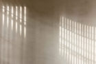 PPAA, Casa Octavia Boutique Hotel Condesa, Mexico Architecture, Photo Luis Garvan | Yellowtrace