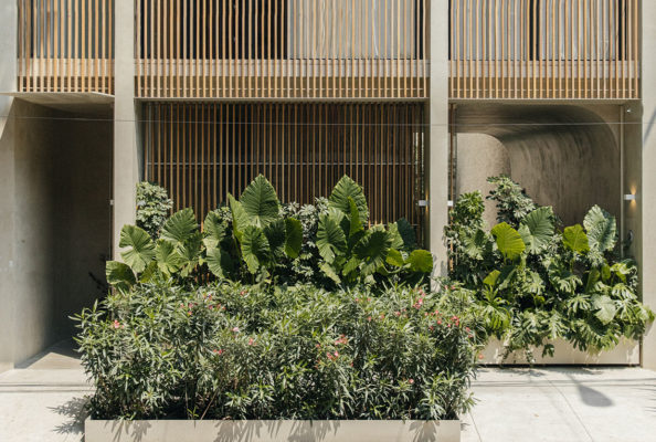 PPAA, Casa Octavia Boutique Hotel Condesa, Mexico Architecture, Maureen Evans | Yellowtrace