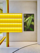 Studio Paolo Ferrari, Alchemy Cannabis Dispensary Toronto | Yellowtrace