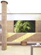 Studio Paolo Ferrari, Alchemy Cannabis Dispensary Toronto | Yellowtrace