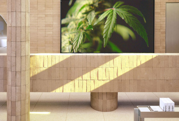 Studio Paolo Ferrari Alchemy Cannabis Dispensary Toronto Yellowtrace