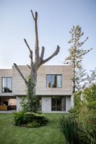 Arquitectura Sergio Portillo Casa Mika Mexico City Photp Cesar Bejar Yellowtrace 17