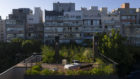 Ana Smud Arevalo Rooftop Apartment Extension Buenos Aires Architecture Photo Javier Agustin Rojas Yellowtrace 02