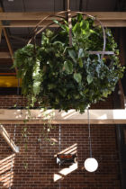 Studio Y Stomping Ground Melbourne Cigarette Factory Adaptive Reuse Photo Derek Swalwell Yellowtrace 14