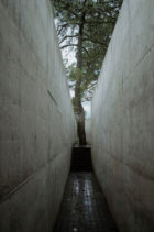 Hw Studio The Hill In Front Of The Glen Morelia Mexico Underground Architecture Photo Cesar Bejar Yellowtrace 16