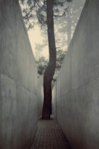 Hw Studio The Hill In Front Of The Glen Morelia Mexico Underground Architecture Photo Cesar Bejar Yellowtrace 17