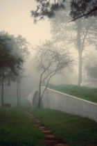 Hw Studio The Hill In Front Of The Glen Morelia Mexico Underground Architecture Photo Cesar Bejar Yellowtrace 18