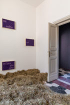 Contemporary Cluster Apartamento Rome Design Showroom Photo Serena Eller Yellowtrace 30