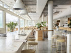 Yellowtrace Alexander And Co Photo Anson Smart Manly Wharf Bar Tropic Restaurant 16