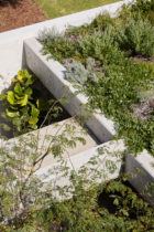 Mja Studio Jimmys House Perth Architecture Photo Jack Lovel Yellowtrace 12
