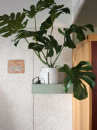 Flack Studio Ace Hotel Sydney Photo Anson Smart Yellowtrace 44