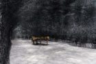Chiharu Shiota The Soul Trembles Solo Exhibition Goma Yellowtrace 12