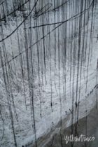 Chiharu Shiota The Soul Trembles Solo Exhibition Goma Nick Hughes Yellowtrace 6