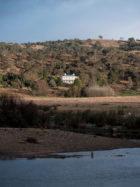 Luke Moloney Architecture The Estate Heritage Renovation Rural Nsw Photo Tom Ferguson Yellowtrace 40