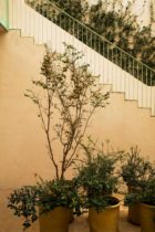 Febrero Studio Apartment Block Seville Residential Architecture Yellowtrace 09