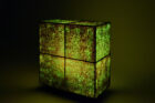 We Plus Less Light Local Ita Nori Installation Yellowtrace 08