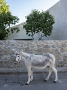 Raul Almenara Casa Nogul Granite Home Spain Photo Juan Baraja Yellowtrace 14