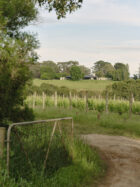 Michael Lumby Nielsen Jenkins Merricks Farmhouse Victoria Australian Architecture Yellowtrace 27