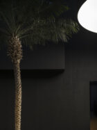 Leopold Banchini Architects Giona Bierens De Haan Architectures Film Studio Geneva Photo Dylan Perrenoud Yellowtrace 06