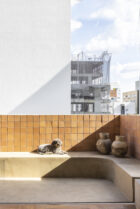 Andre Braz Sao Paulo Apartment Photo Evelyn Muller Yellowtrace 04
