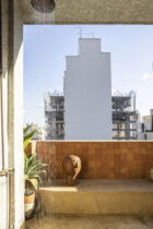 Andre Braz Sao Paulo Apartment Photo Evelyn Muller Yellowtrace 05