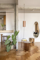 Andre Braz Sao Paulo Apartment Photo Evelyn Muller Yellowtrace 14
