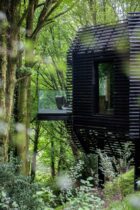 Yellowtrace Roisin Lafferty Exterior Montenotte Woodlands Cork Photo Ruth Maria 04