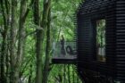 Yellowtrace Roisin Lafferty Exterior Montenotte Woodlands Cork Photo Ruth Maria 06