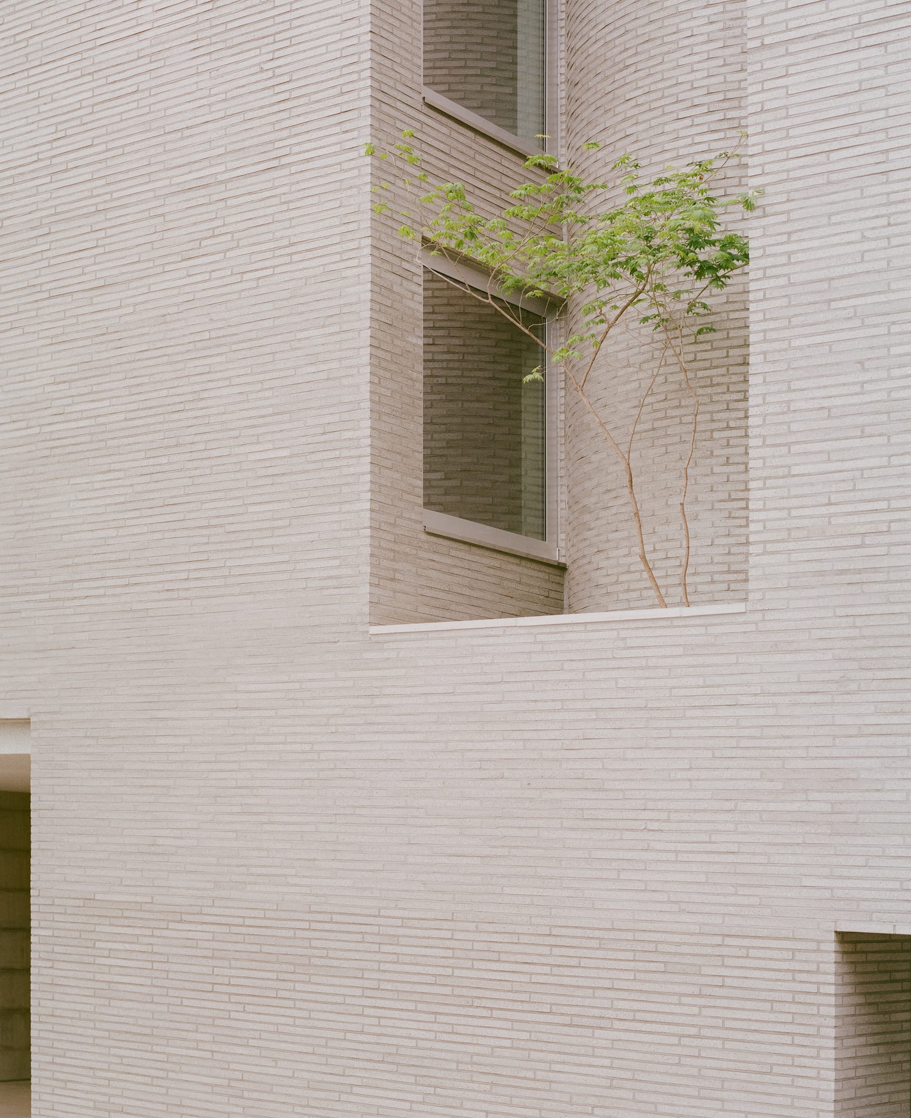 Yellowtrace Order Matter Raw House Seoul Residential Architecture Photo Simone Bossi 25 Opt80