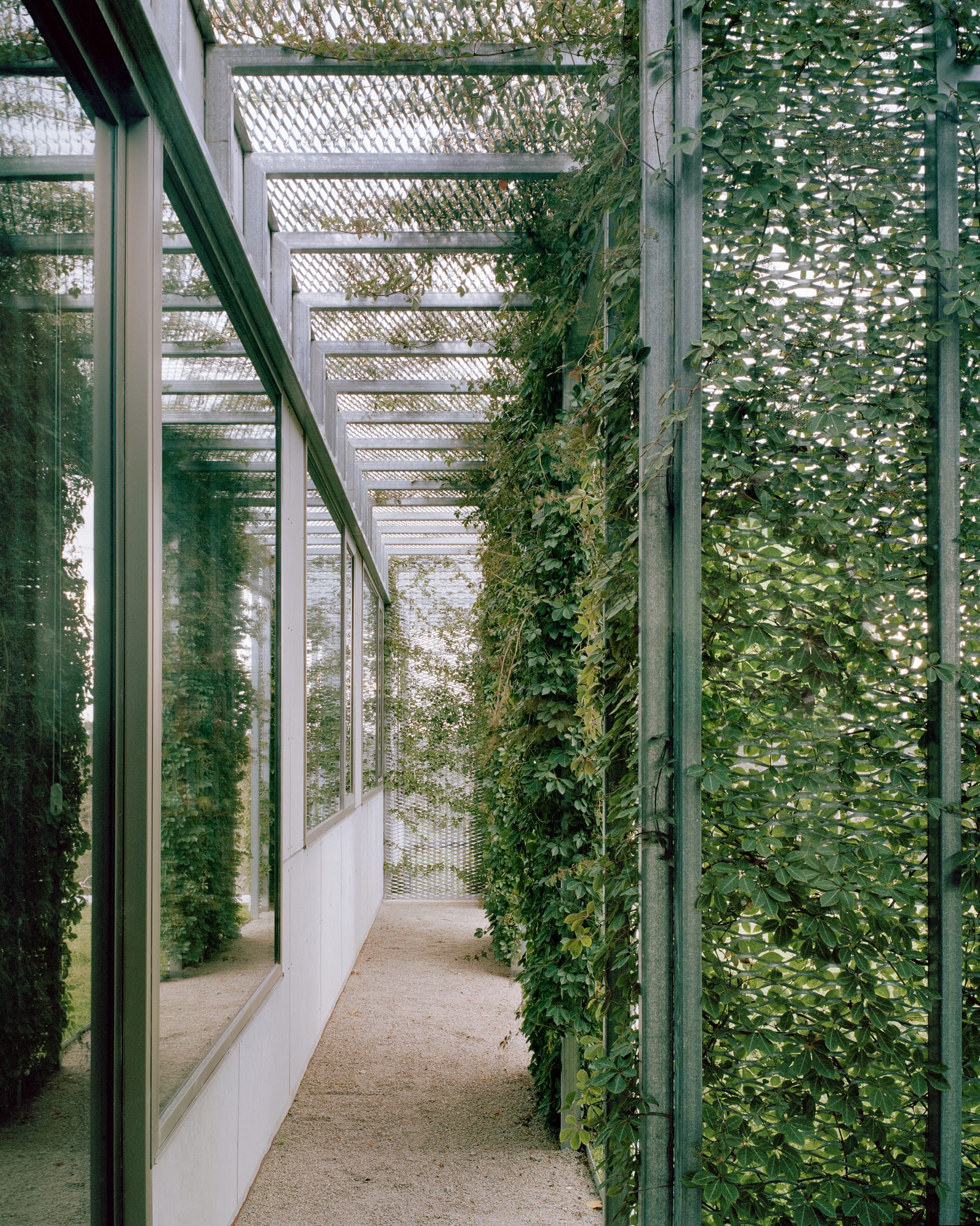 Yellowtrace Houses Awards 2025 New House Over 200sqm Hedge And Arbour House Studio Bright Photo Rory Gardiner 04 Opt80