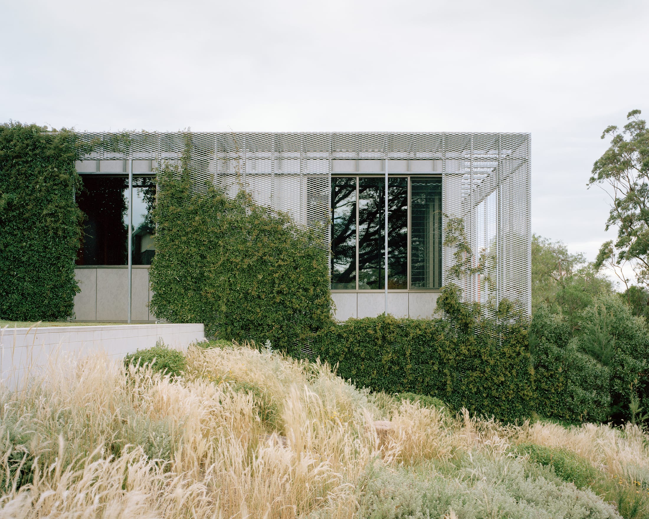 Yellowtrace Houses Awards 2025 New House Over 200sqm Hedge And Arbour House Studio Bright Photo Rory Gardiner 05 Opt80