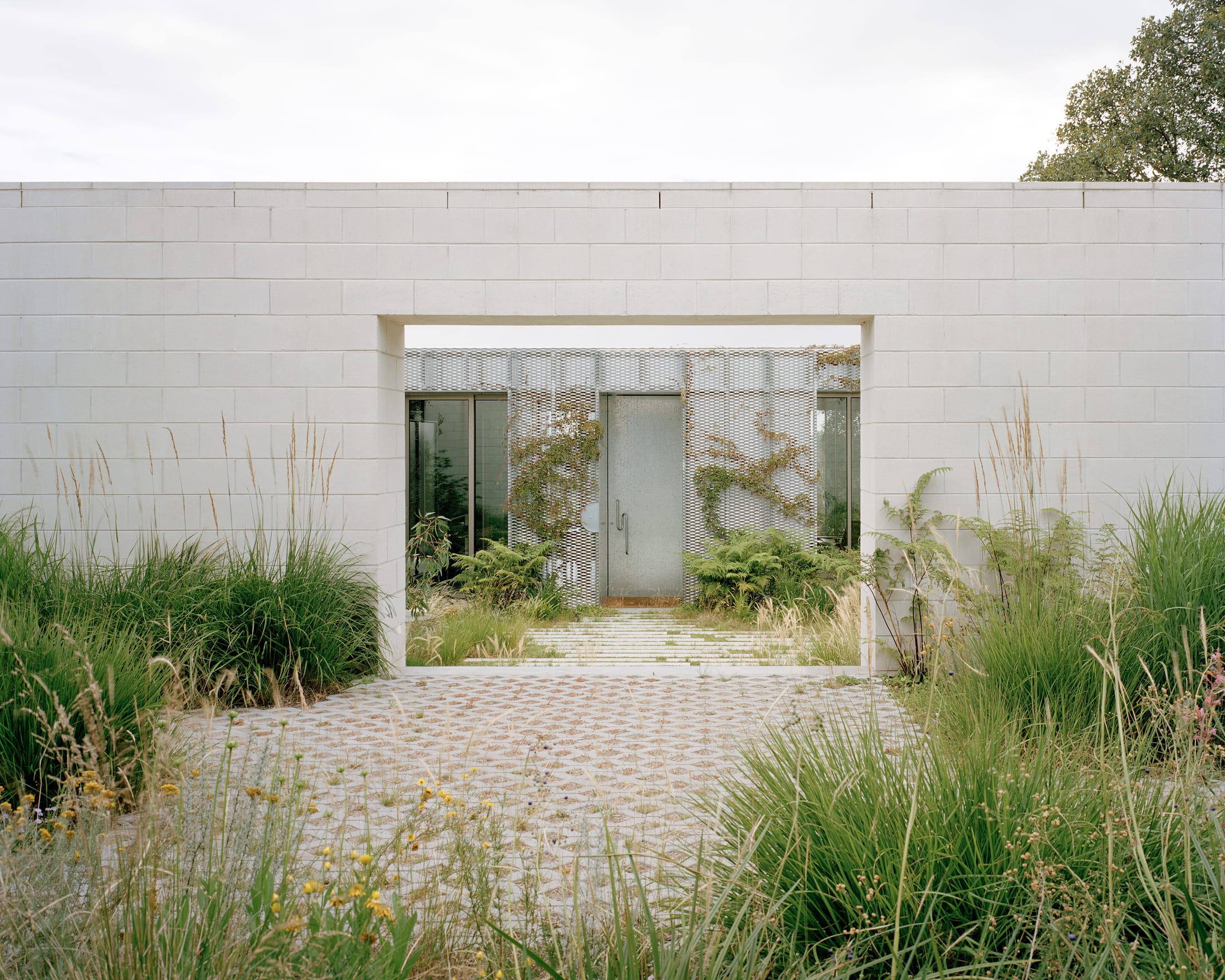 Yellowtrace Houses Awards 2025 New House Over 200sqm Hedge And Arbour House Studio Bright Photo Rory Gardiner 11 Opt80