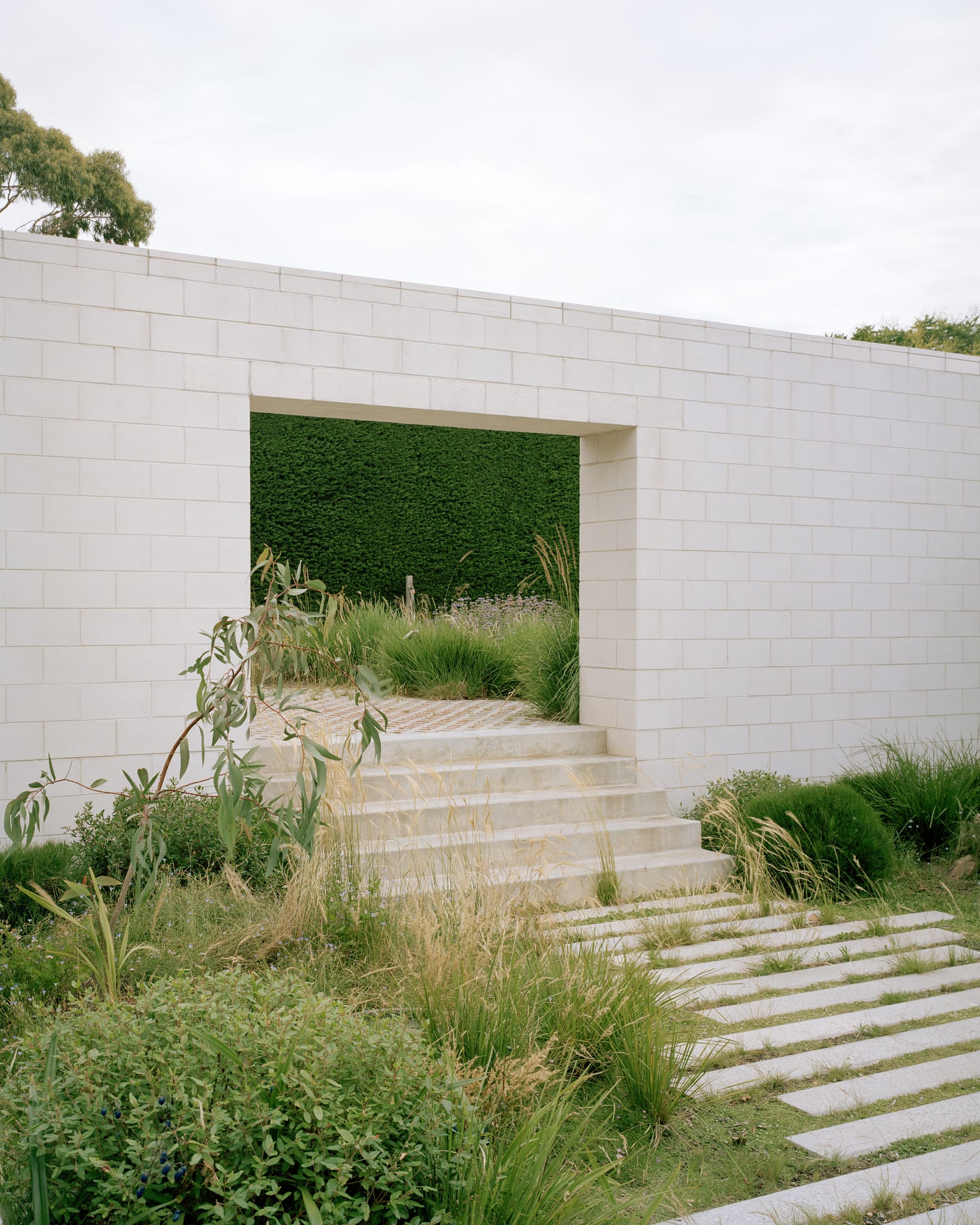 Yellowtrace Houses Awards 2025 New House Over 200sqm Hedge And Arbour House Studio Bright Photo Rory Gardiner 09 Opt80